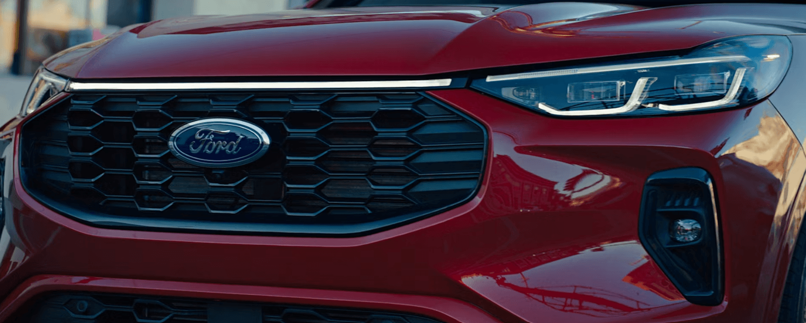 Life After the Ford Escape: What Current Owners Should Do Next